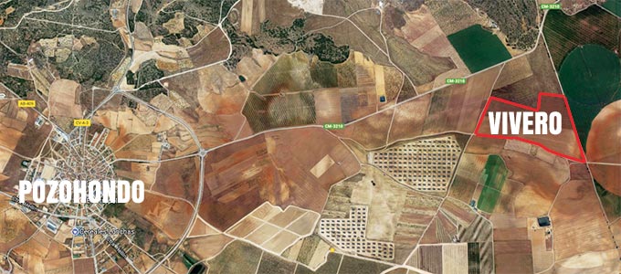 Localización Vivero planta de almendro de Viveros Lonchas.